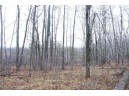 25 Acres On Mae West Road, Ladysmith, WI 54848