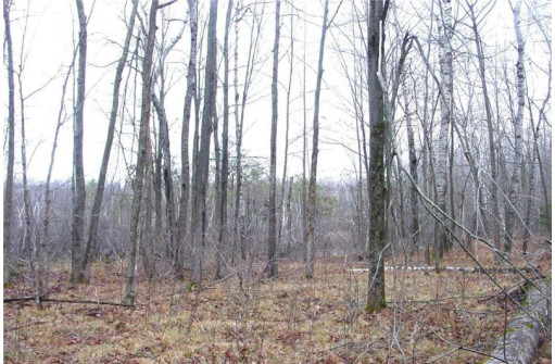 25 Acres On Mae West Road, Ladysmith, WI 54848