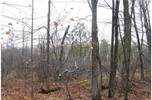 25 Acres On Mae West Road, Ladysmith, WI 54848