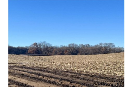 LOT 1 28th Avenue, Elk Mound, WI 54739