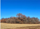 LOT 1 28th Avenue, Elk Mound, WI 54739