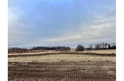 LOT 6 28th Avenue, Elk Mound, WI 54739