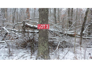 LOT 3 Blackberry Rd Trego, WI 54888