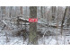 LOT 3 Blackberry Rd Trego, WI 54888