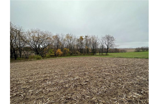 00 (5.24 ACRES) 40th Street, Plum City, WI 54761