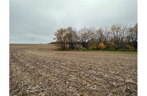 00 (5.24 ACRES) 40th Street, Plum City, WI 54761