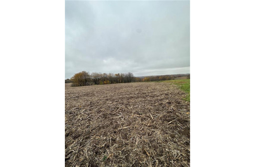 00 (5.24 ACRES) 40th Street, Plum City, WI 54761