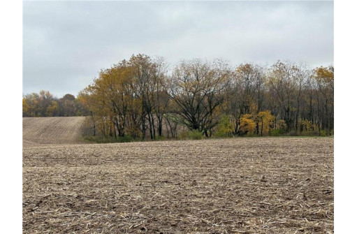 00 (5.24 ACRES) 40th Street, Plum City, WI 54761