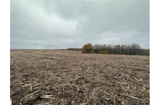 00 (5.24 ACRES) 40th Street, Plum City, WI 54761