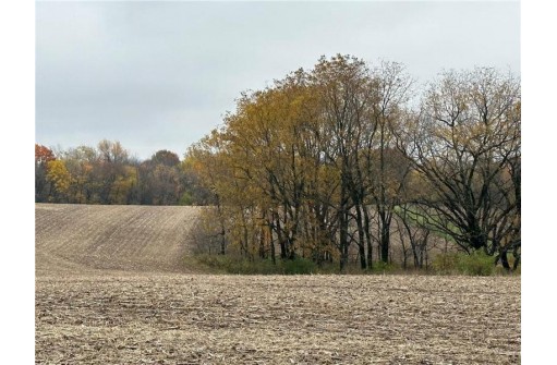 00 (5.24 ACRES) 40th Street, Plum City, WI 54761