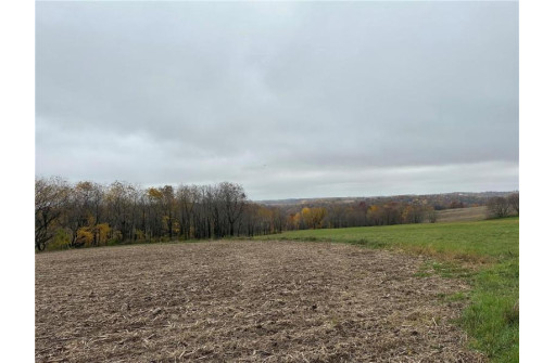 00 (5.24 ACRES) 40th Street, Plum City, WI 54761