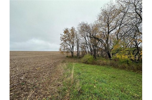 00 (5.24 ACRES) 40th Street, Plum City, WI 54761