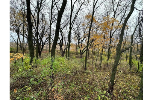 00 (5.24 ACRES) 40th Street, Plum City, WI 54761