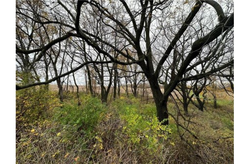 00 (5.24 ACRES) 40th Street, Plum City, WI 54761