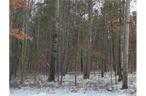 LOT 31 Great Bear Passage, Danbury, WI 54830