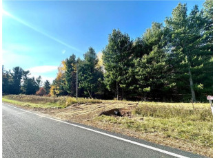 LOT 3 (5.10 ACRES) M Highway Elk Mound, WI 54739