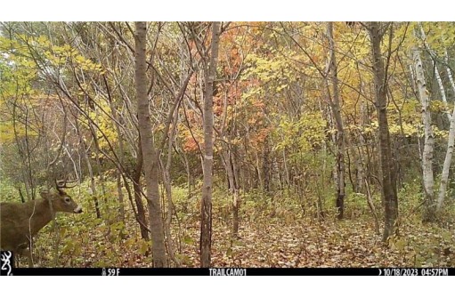 LOT 3 (5.10 ACRES) M Highway, Elk Mound, WI 54739