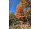 LOT 3 (5.10 ACRES) M Highway, Elk Mound, WI 54739