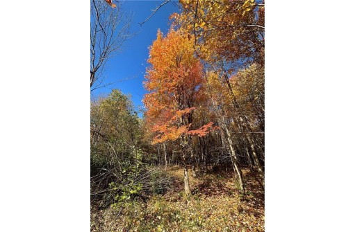 LOT 3 (5.10 ACRES) M Highway, Elk Mound, WI 54739