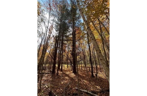 LOT 3 (5.10 ACRES) M Highway, Elk Mound, WI 54739