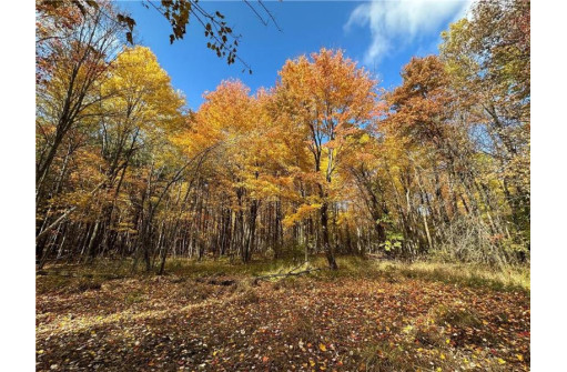 LOT 3 (5.10 ACRES) M Highway, Elk Mound, WI 54739