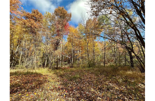 LOT 3 (5.10 ACRES) M Highway, Elk Mound, WI 54739