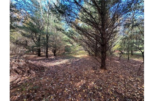 LOT 3 (5.10 ACRES) M Highway, Elk Mound, WI 54739