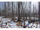 LOT 18 Pondell Ln W, Bruce, WI 54819