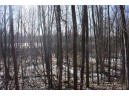 LOT 18 Pondell Ln W, Bruce, WI 54819