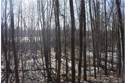 LOT 18 Pondell Ln W, Bruce, WI 54819