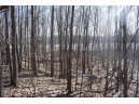 LOT 18 Pondell Ln W, Bruce, WI 54819