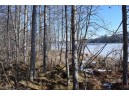 LOT 18 Pondell Ln W, Bruce, WI 54819