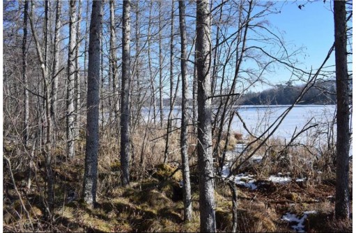 LOT 18 Pondell Ln W, Bruce, WI 54819