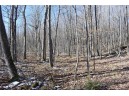 LOT 18 Pondell Ln W, Bruce, WI 54819