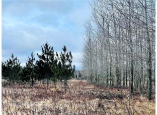 +/- 10 ACRES Hamm Drive Owen, WI 54460