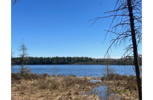 0000 Bass Lake Road, Webster, WI 54893