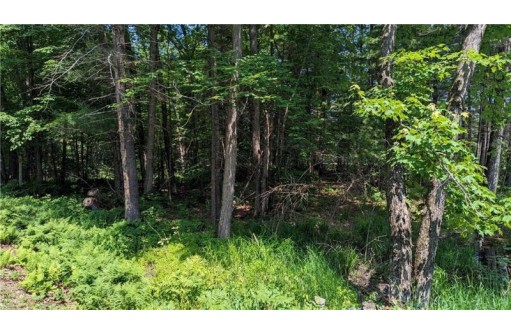 LOT 1 165th Ave, Bloomer, WI 54724