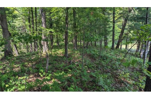 LOT 1 165th Ave, Bloomer, WI 54724