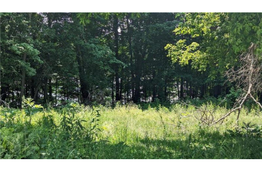 LOT 3 175th Ave, Bloomer, WI 54724