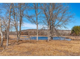 XXXX 20 Acres Tranus Lake Road Springbrook, WI 54875