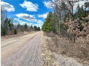 20 ACRES(WEST 20) Todd Road, Granton, WI 54436