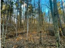 37.5 Acres On Thornapple Road, Ladysmith, WI 54848