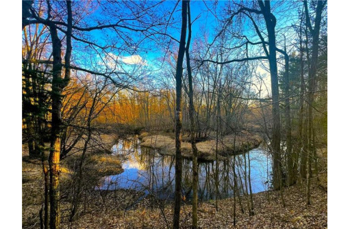 37.5 Acres On Thornapple Road, Ladysmith, WI 54848