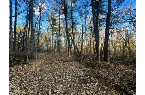 37.5 Acres On Thornapple Road, Ladysmith, WI 54848