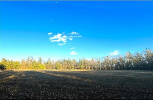 37.5 Acres On Thornapple Road, Ladysmith, WI 54848