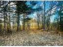 37.5 Acres On Thornapple Road, Ladysmith, WI 54848