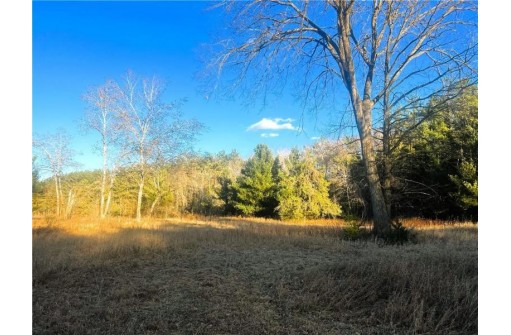 37.5 Acres On Thornapple Road, Ladysmith, WI 54848