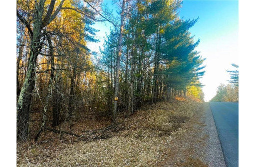 37.5 Acres On Thornapple Road, Ladysmith, WI 54848