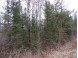 40 ACRES OFF Knapp Rd Winter, WI 54896