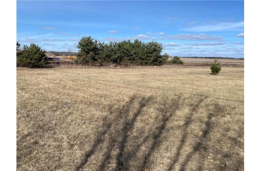 LOT 1 AND 2 934th Street, Mondovi, WI 54755